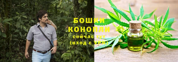 гидра Козельск