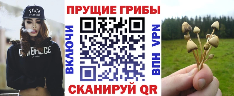 Купить закладки  Феодосия  Галлюциногенные грибы GOLDEN TEACHER 