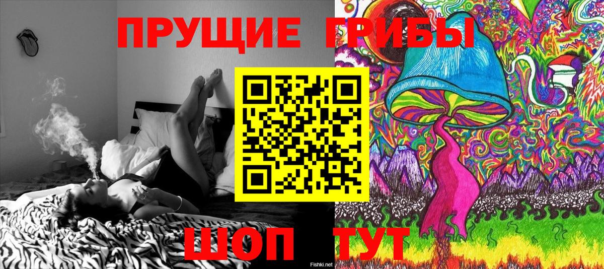 Галлюциногенные грибы Psilocybine cubensis  Вход с VPN  Псилоцибиновые грибы Psilocybe  Феодосия 